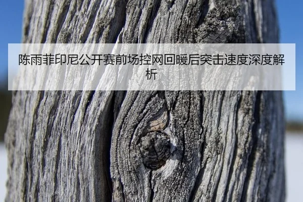 陈雨菲印尼公开赛前场控网回暖后突击速度深度解析